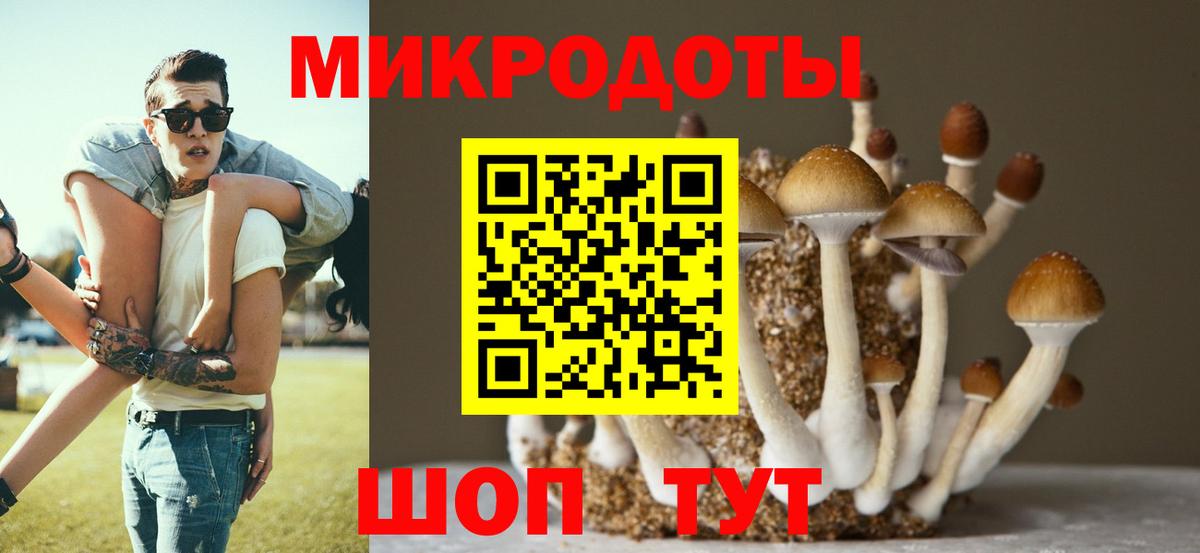 Псилоцибиновые грибы Magic Shrooms  где купить наркоту  Энгельс  Вход с VPN 