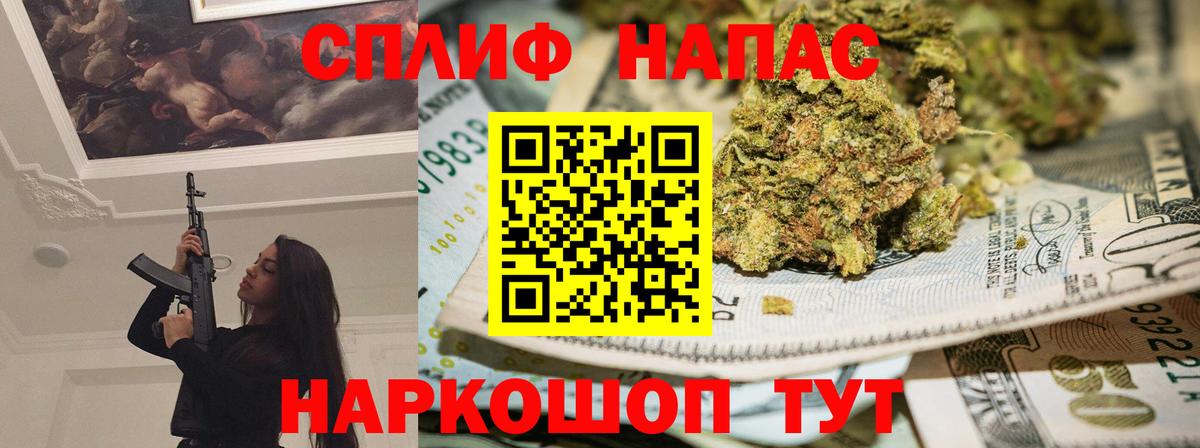 МАРИХУАНА конопля Энгельс